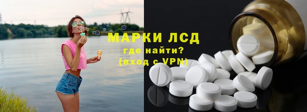 индика Вязьма