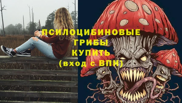 индика Вязьма