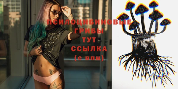 индика Вязьма
