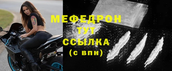 индика Вязьма