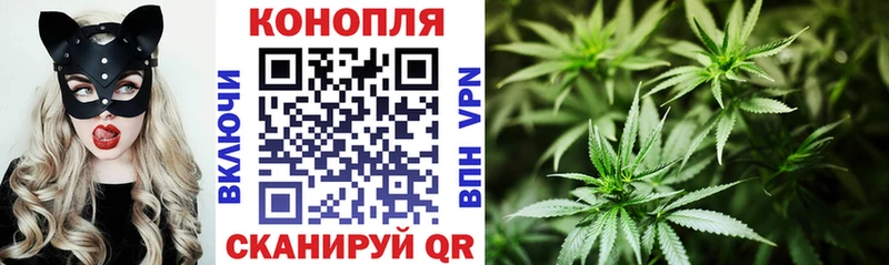 Шишки марихуана план  Заозёрный 